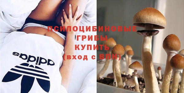 амфетамин Алексин