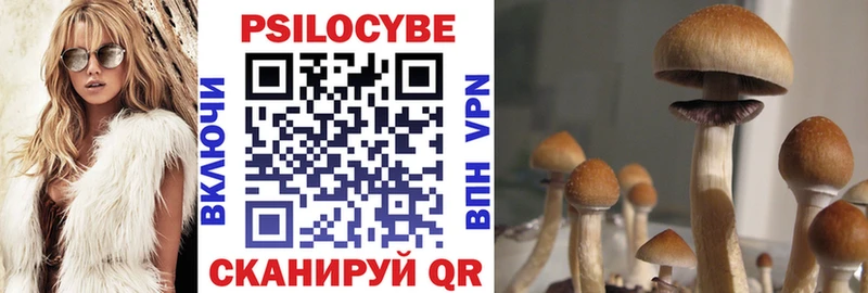 Галлюциногенные грибы Magic Shrooms  Шадринск 